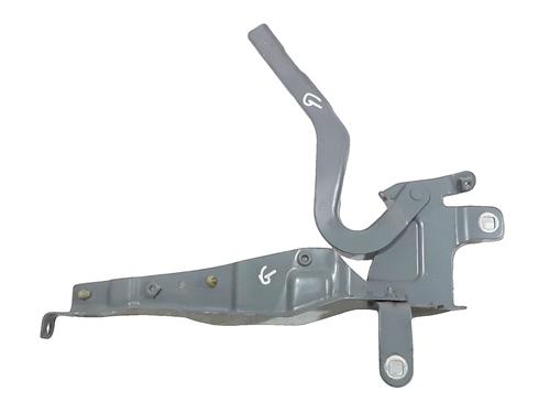 Used Hinge/Door check strap RENAULT CLIO IV (BH_) 1.5 dCi 90 (90 hp) 32307548