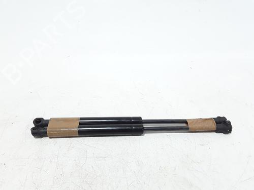 Hood lift support CITROËN DS5 2.0 HDi 165 | BP25167197C139 