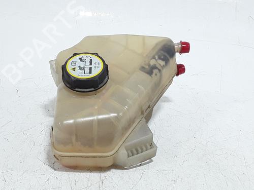 Expansion tank FORD FIESTA VI (CB1, CCN) 1.4 TDCi | BP29379803C120 