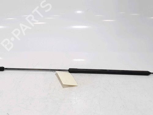 Amortiguador capot RENAULT MEGANE III Hatchback (BZ0/1_, B3_) 1.5 dCi (BZ09, BZ0D, BZ1W, BZ29, BZ14) (110 hp) 25167828