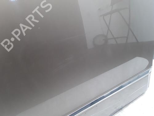 Right rear door RENAULT SCÉNIC III (JZ0/1_) 1.5 dCi | BP29170404C5 
