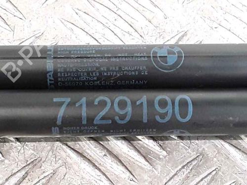 Hood lift support BMW 3 (E90) 325 d | BP25167750C139