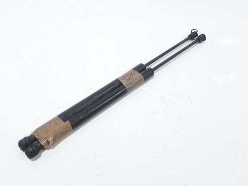 Tailgate lift support RENAULT CLIO IV (BH_) 1.5 dCi 90 | BP25168735C138 