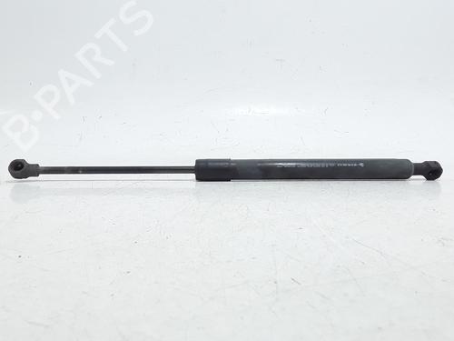hood-lift-support-renault-clio-iv-bh_-2012-2013-2014-2015-2016-2017-2018-2019-2020-2021-40283731 main image