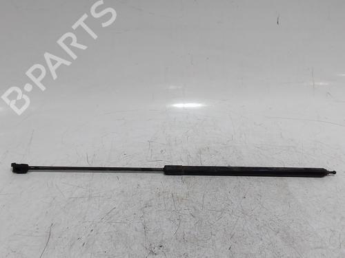 Used Hood lift support RENAULT MEGANE CC (EZ0/1_) 1.5 dCi (EZ09, EZ1G, EZ0D, EZ14) (110 hp) 31366167