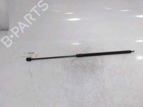 Hood lift support RENAULT MEGANE III Hatchback (BZ0/1_, B3_) 1.5 dCi (BZ0C) | BP25167520C139 