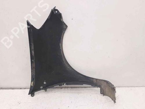 Left front fenders RENAULT CLIO III (BR0/1, CR0/1) 1.5 dCi (BR17, CR17) | BP25181463C41 