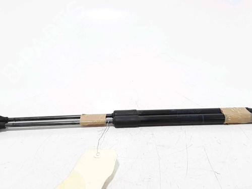 Tailgate lift support RENAULT CLIO V (B7_) 1.5 Blue dCi 85 (B7AG) | BP25168889C138 