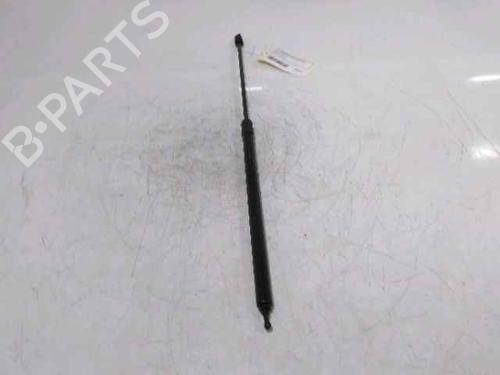 Hood lift support RENAULT MEGANE III Hatchback (BZ0/1_, B3_) 1.5 dCi (BZ0C) | BP25167520C139 