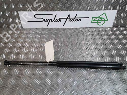 Used Tailgate lift support CITROËN XSARA PICASSO (N68) 1.6 HDi (109 hp) 25168402