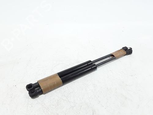 Hood lift support CITROËN DS5 2.0 HDi 165 | BP25167197C139 