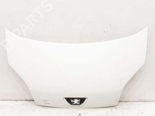 Hood PEUGEOT BIPPER (AA_) 1.3 HDi 75 | BP25767342C1 