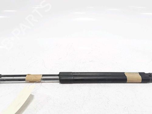 Used Tailgate lift support VW GOLF VII (5G1, BQ1, BE1, BE2) 1.6 TDI (110 hp) 25168545