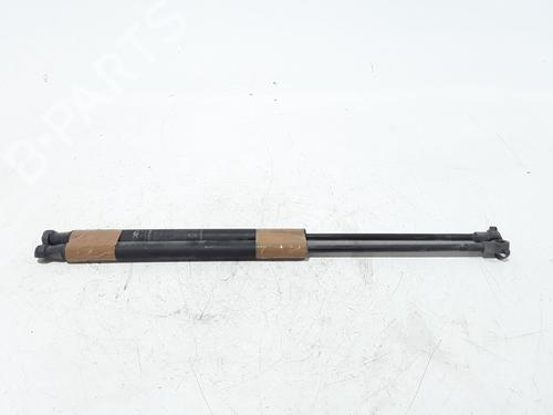 Used Tailgate lift support FIAT 500 (312_) 1.2 (312AXA1A) (69 hp) 25168909
