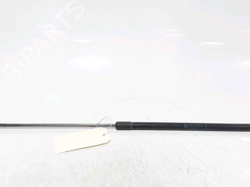 Used Hood lift support RENAULT MEGANE III Coupe (DZ0/1_) 1.6 dCi (DZ00, DZ12, DZ2A, DZ13) (130 hp) 25167591