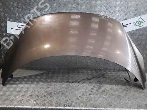 Hood RENAULT SCÉNIC III (JZ0/1_) 1.9 dCi (JZ0J, JZ1J, JZ1K, JZ1S) | BP25167328C1