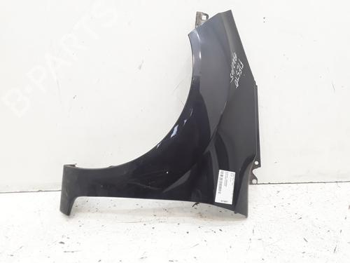 Left front fenders FORD FIESTA VI (CB1, CCN) 1.4 TDCi | BP25182301C41 