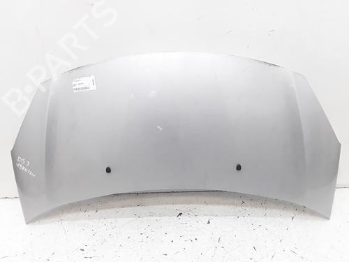 Used Hood Hood DS DS 3 (SA_) 1.2 THP 110 / PureTech 110 (SAHNPS, SAHNZ6, SAHNZT) (110 hp) 26875582 26875582