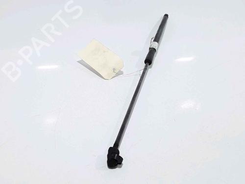Hood lift support VW PASSAT B6 (3C2) 1.9 TDI | BP25167818C139 