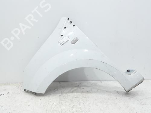 Used Left front fenders Left front fenders RENAULT TWINGO II (CN0_) 1.5 dCi (CN0E) (64 hp) 39755004 39755004