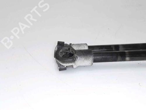 Gassdemper Bakluke SMART FORTWO Coupe (451) 1.0 (451.331, 451.380) | BP25168134C138 