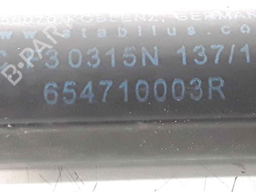 Hood lift support RENAULT MEGANE III Hatchback (BZ0/1_, B3_) 1.5 dCi (BZ09, BZ0D, BZ1W, BZ29, BZ14) | BP25167828C139 