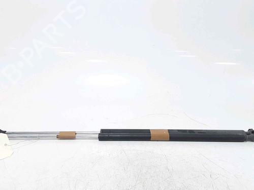 Tailgate lift support CITROËN C4 I (LC_) 1.6 HDi | BP25168442C138 