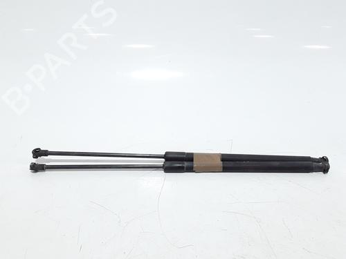 Used Tailgate lift support NISSAN QASHQAI I (J10, NJ10) 1.5 dCi (106 hp) 25167886