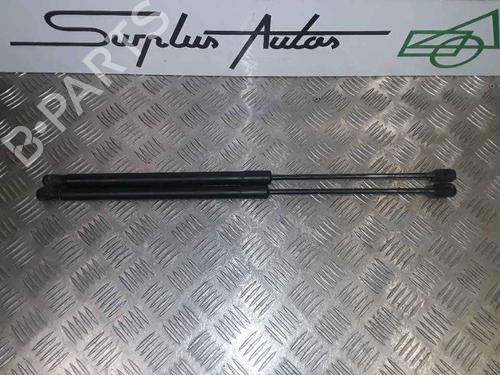 Tailgate lift support FORD FIESTA VI (CB1, CCN) 1.4 TDCi | BP25168743C138 