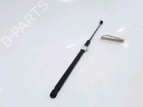 Hood lift support VW PASSAT B6 (3C2) 1.9 TDI | BP25167818C139 
