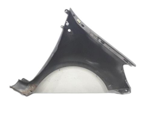 Left front fenders RENAULT CLIO III (BR0/1, CR0/1) 1.5 dCi (BR17, CR17) | BP31875376C41