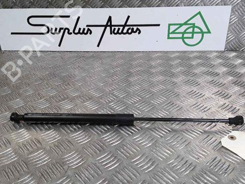 Used Tailgate lift support RENAULT ZOE (BFM_) ZOE (BFMD) (109 hp) 25168464
