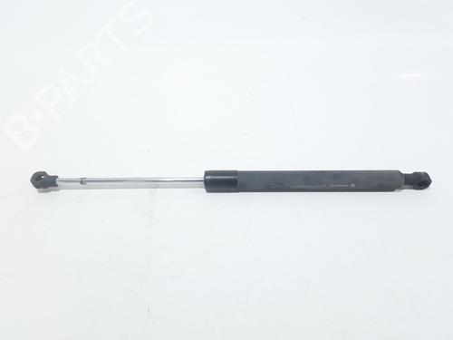 Hood lift support RENAULT CLIO IV (BH_) 1.5 dCi 75 | BP25767100C139 