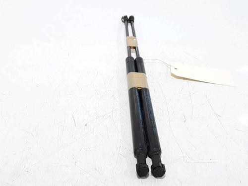 Tailgate lift support FIAT PANDA (169_) 1.2 (169.AXB11, 169.AXB1A) | BP25168601C138 