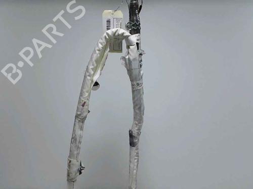 Used Other RENAULT SCÉNIC IV (J9_) 1.7 Blue dCi 150 (J9A7, J9A8) (150 hp) 25159987