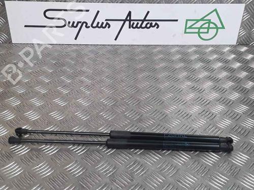 Used Tailgate lift support BMW 1 (F20) 118 d (150 hp) 25168056