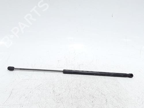 hood-lift-support-dacia-duster-hs_-2010-2011-2012-2013-2014-2015-2016-2017-2018-31264838 main image