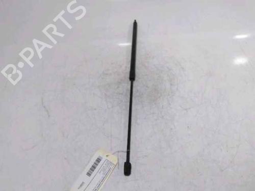 Used Hood lift support RENAULT MEGANE III Hatchback (BZ0/1_, B3_) 1.5 dCi (BZ0C) (90 hp) 25167520