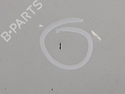 Hood FIAT PUNTO (199_) 1.2 (199AXZ1A, 199BXZ1A) | BP29576900C1 
