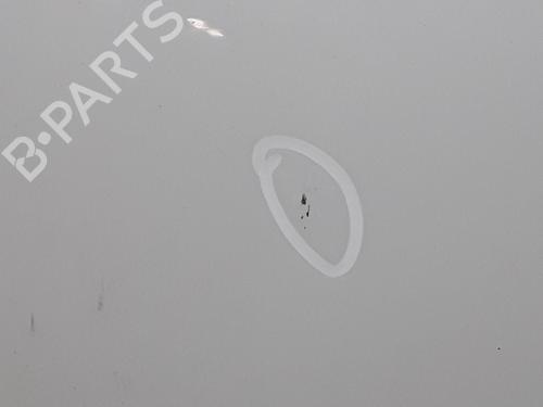 Right front door RENAULT CLIO IV (BH_) 1.5 dCi 75 | BP29045313C3 