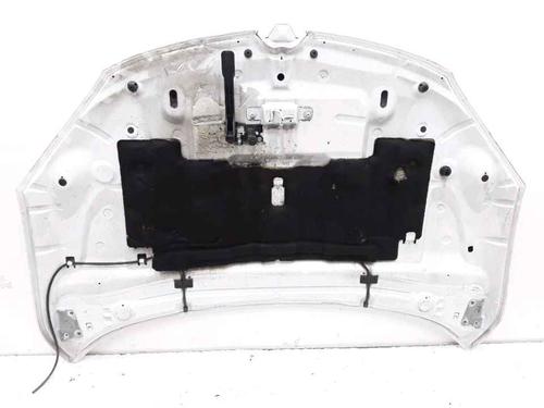 Hood RENAULT MEGANE III Coupe (DZ0/1_) 1.6 dCi (DZ00, DZ12, DZ2A, DZ13) | BP25167450C1 
