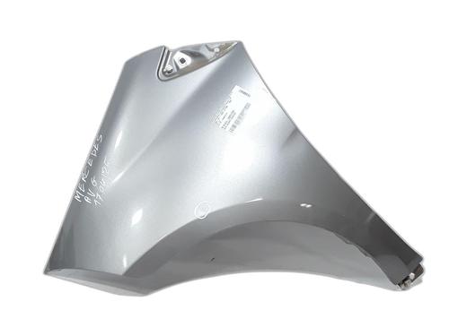 Used Left front fenders MERCEDES-BENZ A-CLASS (W169) A 170 (169.032, 169.332) (116 hp) 29621010