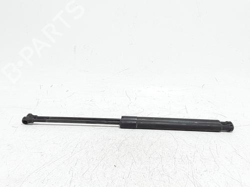 tailgate-lift-support-citroen-c3-ii-sc_-2009-39060303 main image