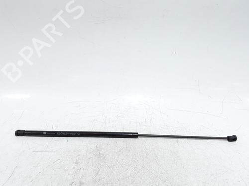 hood-lift-support-audi-a6-c6-avant-4f5-2004-2005-2006-2007-2008-2009-2010-2011-33030829 main image