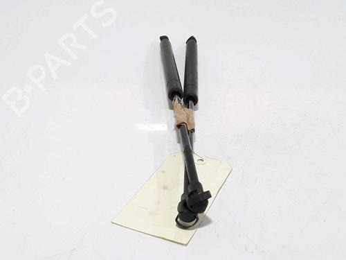 Tailgate lift support FORD KA (RU8) 1.3 TDCi | BP25168498C138