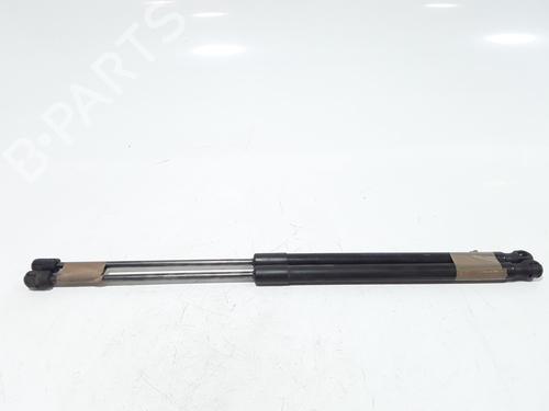 Tailgate lift support FORD FIESTA VI (CB1, CCN) 1.25 | BP25767559C138 