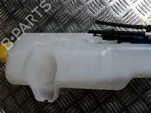 Used Windscreen washer tank RENAULT TWINGO III (BCM_, BCA_) 1.0 SCe 70 (71 hp) 25202003