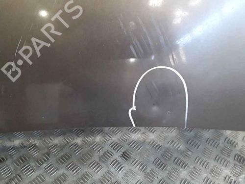 Hood RENAULT SCÉNIC III (JZ0/1_) 2.0 dCi (JZ0L) | BP25167304C1