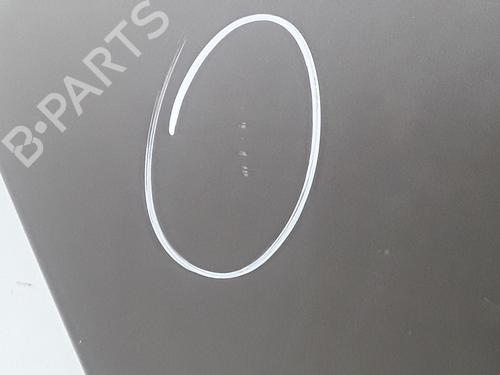 Right rear door RENAULT SCÉNIC III (JZ0/1_) 1.5 dCi | BP29170404C5 