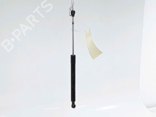 Used Hood lift support RENAULT CLIO IV (BH_) 1.5 dCi 75 (75 hp) 25167642